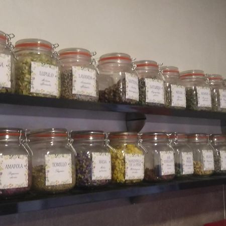 Casa Rural Ruralba Alba de los Cardaños المظهر الخارجي الصورة