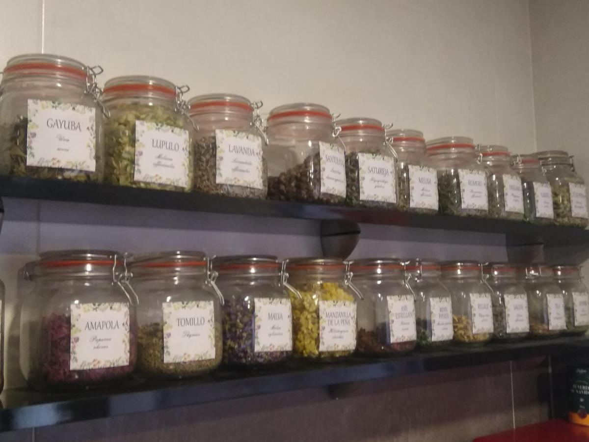 Casa Rural Ruralba Alba de los Cardaños المظهر الخارجي الصورة